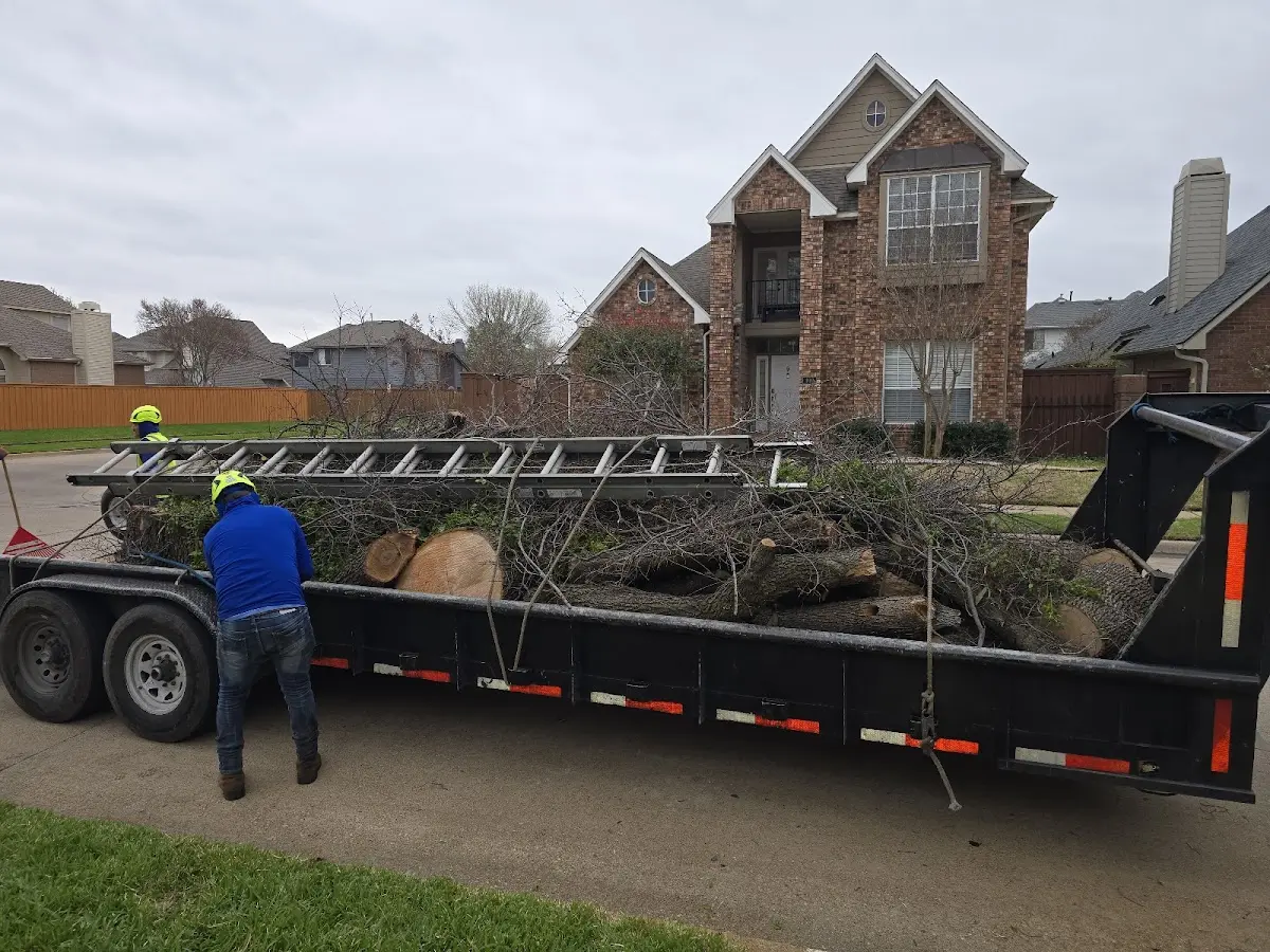 Expert Tree Fertilization with proper safety equipment in Sanborn